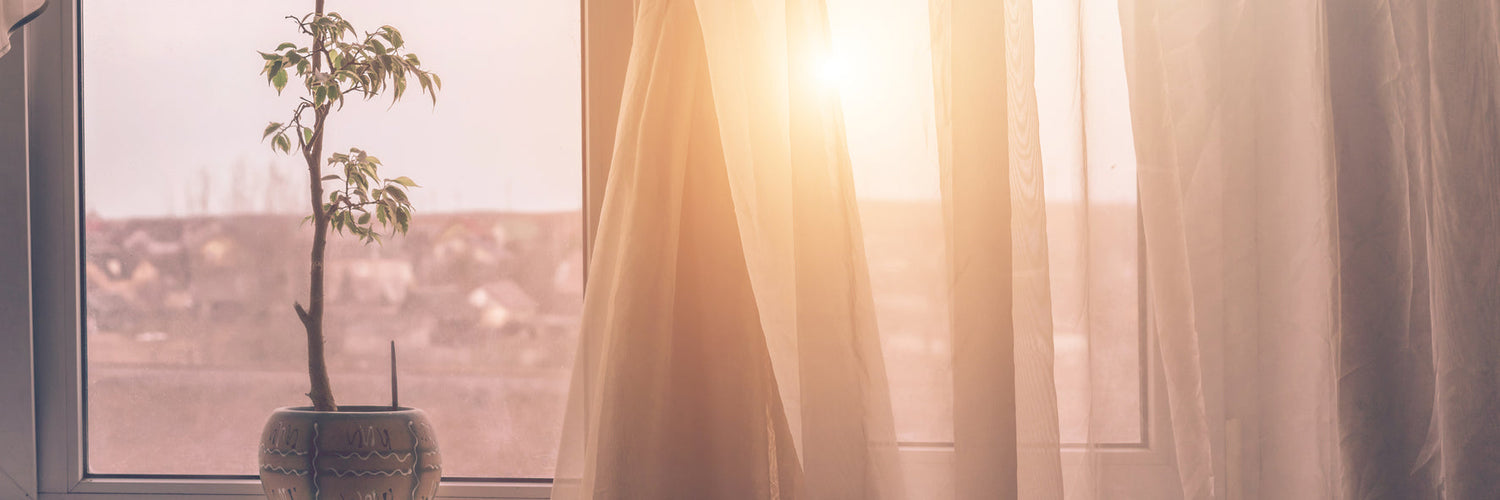 Air Quality and Filtration Products