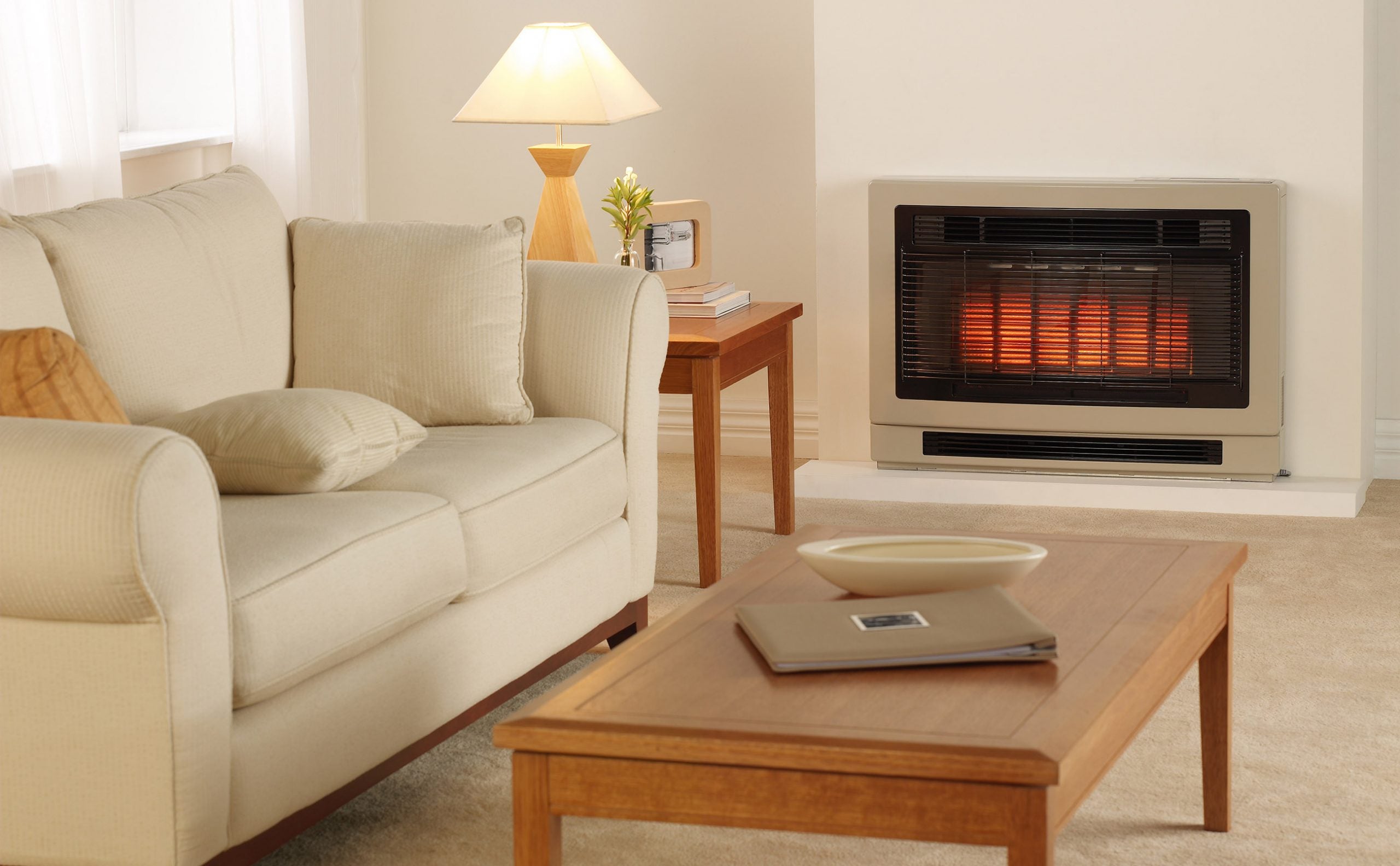 Rinnai Ultima II Inbuilt Gas Flued Space Heater Living Room