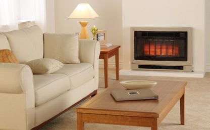 Rinnai Ultima II Inbuilt Gas Flued Space Heater Living Room
